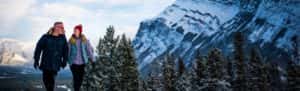 Explore Buffalo Mountain Lodge in Banff National Park