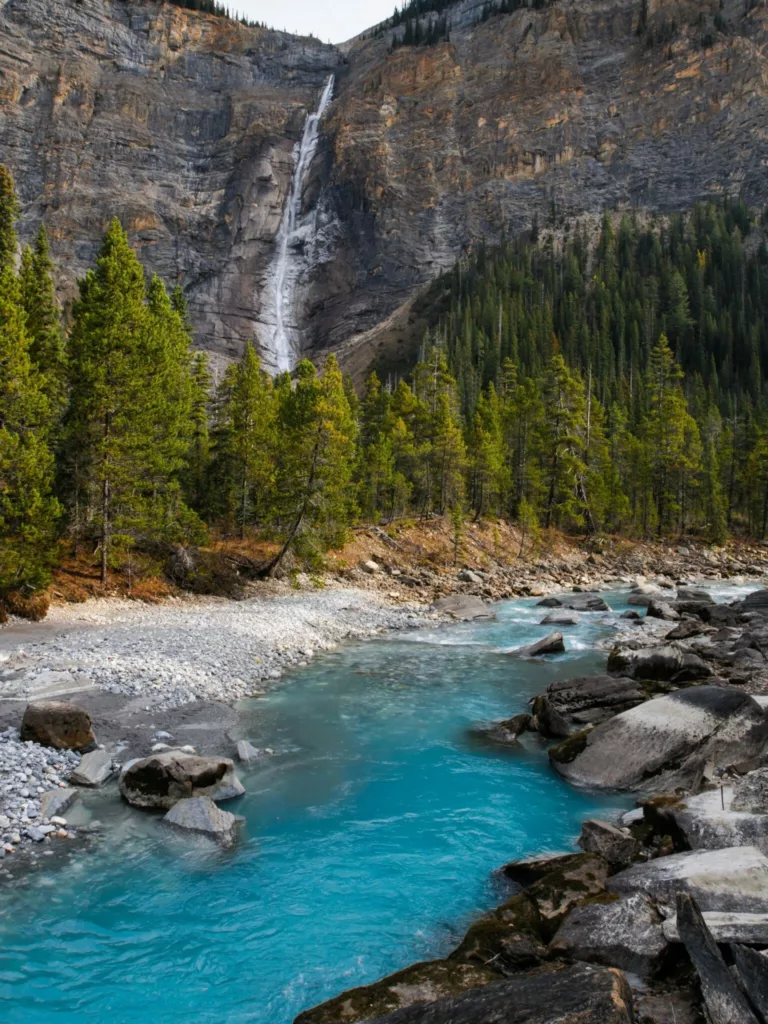 Takakkaw Falls cascades down a rugged cliff, with a turquoise glacial river flowing below
