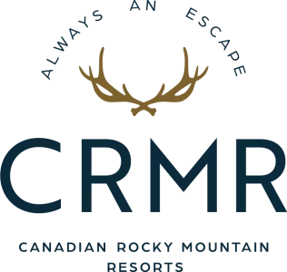 location logo